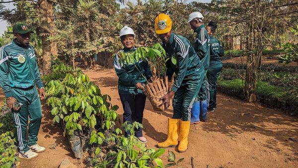 A Rewarding Collaboration: Exploring Sustainable Reforestation with the University of Bamenda